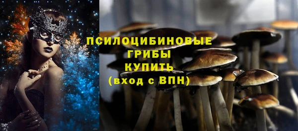 a pvp Михайловск