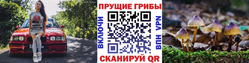Псилоцибиновые грибы Cubensis  Всеволожск 