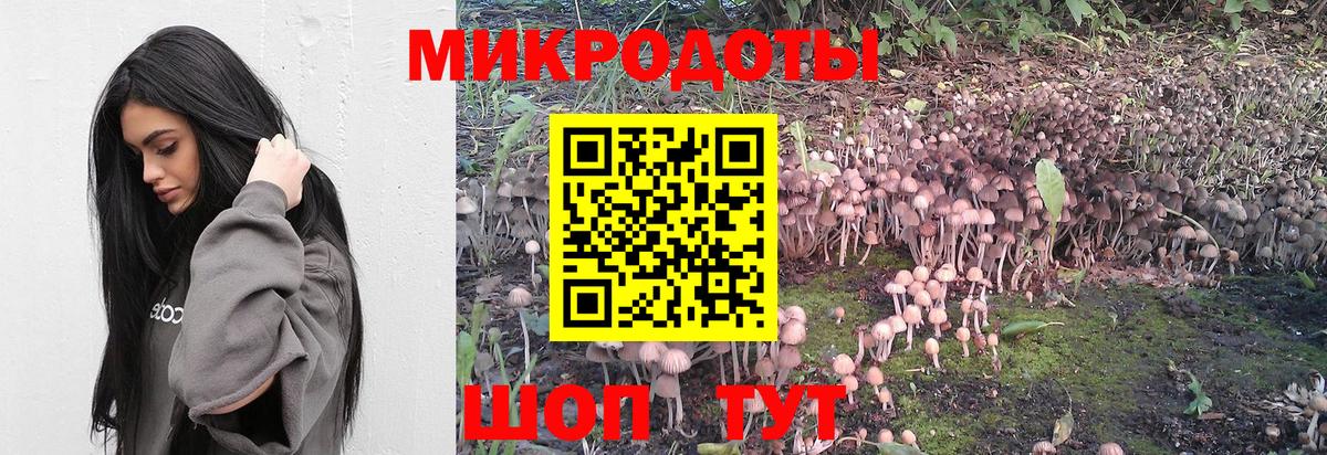 дарнет шоп  Всеволожск  Галлюциногенные грибы Cubensis 